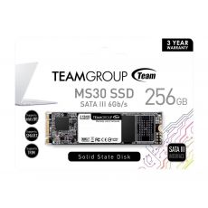 Solid State Drive (SSD) Team Group MS30 M.2 2280 256GB SATA III, TM8PS7256G0C101, image 