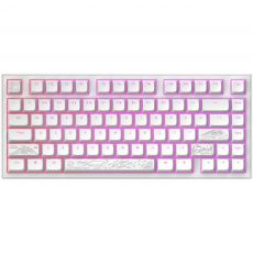 Gaming Mechanical Keyboard Dark Project ALU81A Terra Nostra White RGB, image 