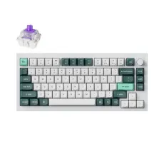 Mechanical Keychron Q1 HE QMK 75% Shell White - Gateron Double-Rail Magnetic Nebula Switch, image 