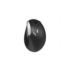 Wireless Ergonomic Mouse RAPOO EV250, image 