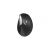 Wireless Ergonomic Mouse RAPOO EV250, image 