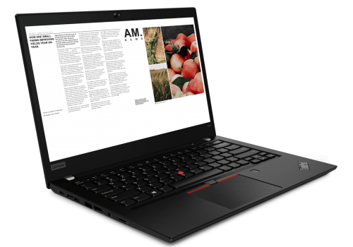 Lenovo ThinkPad T490, Refurbished Grade A, 14", i5-8265U, 8GB RAM, 256GB SSD, KBD: EN, OS: FreeDos, image , 3 image