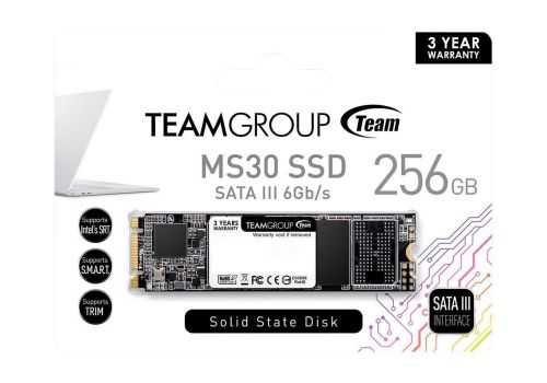 Solid State Drive (SSD) Team Group MS30 M.2 2280 256GB SATA III, TM8PS7256G0C101, image 