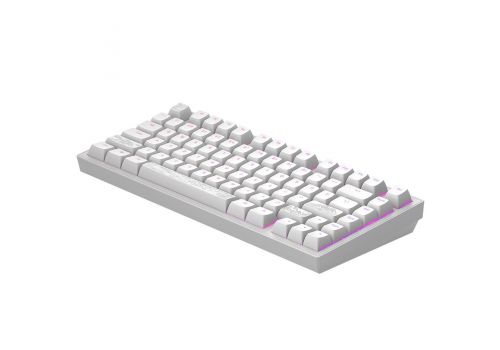 Gaming Mechanical Keyboard Dark Project ALU81A Terra Nostra White RGB, image _ab__is.image_number.default