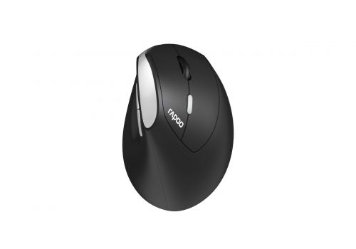 Wireless Ergonomic Mouse RAPOO EV250, image 