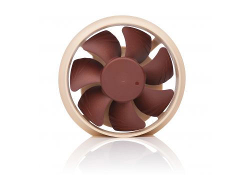 Noctua Fan 80mm NL-ACF1 - VRM/Auxiliary, image _ab__is.image_number.default