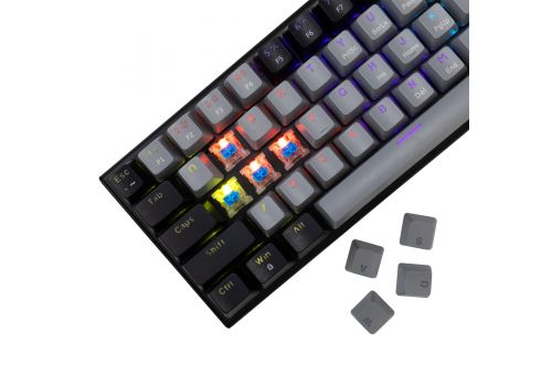 White Shark Gaming Mechanical Keyboard WAKIZASHI 2 - Blue Switches (English US), Gray, Black, image , 2 image