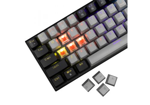 White Shark Gaming Mechanical Keyboard WAKIZASHI 2 - Red Switches (English US), Gray, Black, image , 3 image