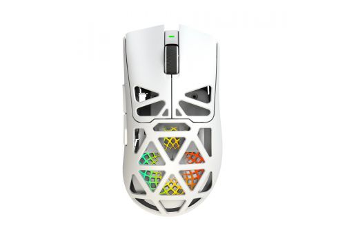 White Shark Wireless Gaming Mouse MORIEN - 12000dpi, 1000Hz, Bluetooth, White, image 