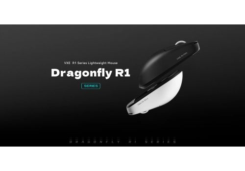 VXE Wireless Gaming Mouse Dragonfly R1 Pro Max 1K (4K compatible) - Kailh White Blade Switches, White, image , 2 image